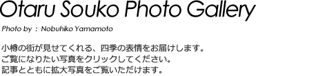 フォトギャラリー【秋】